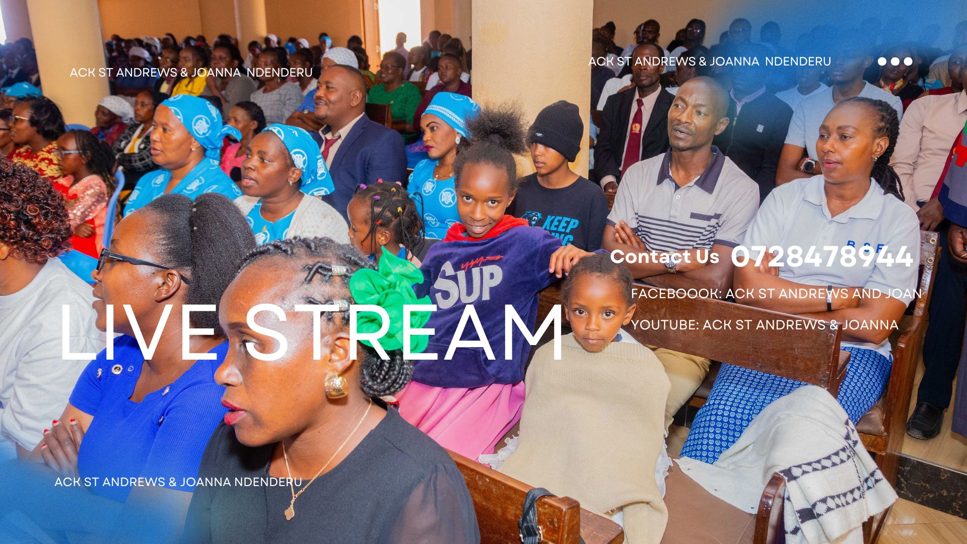 Live Stream